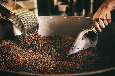 Coffee and Technology: The Future of Brewing with Mt. Nona Coffee Co.'s Cutting-Edge Roasting Techniques